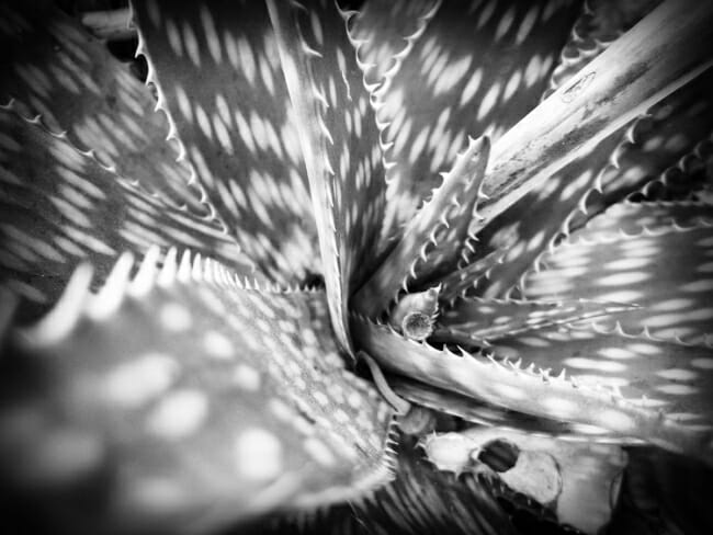 img_0033-edit